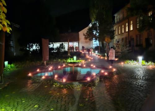 20231111_203036_skal