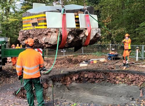 20241016_113140_resized_quer