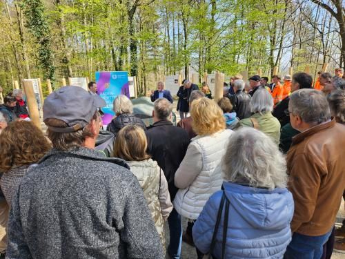 20250411_123117_skal