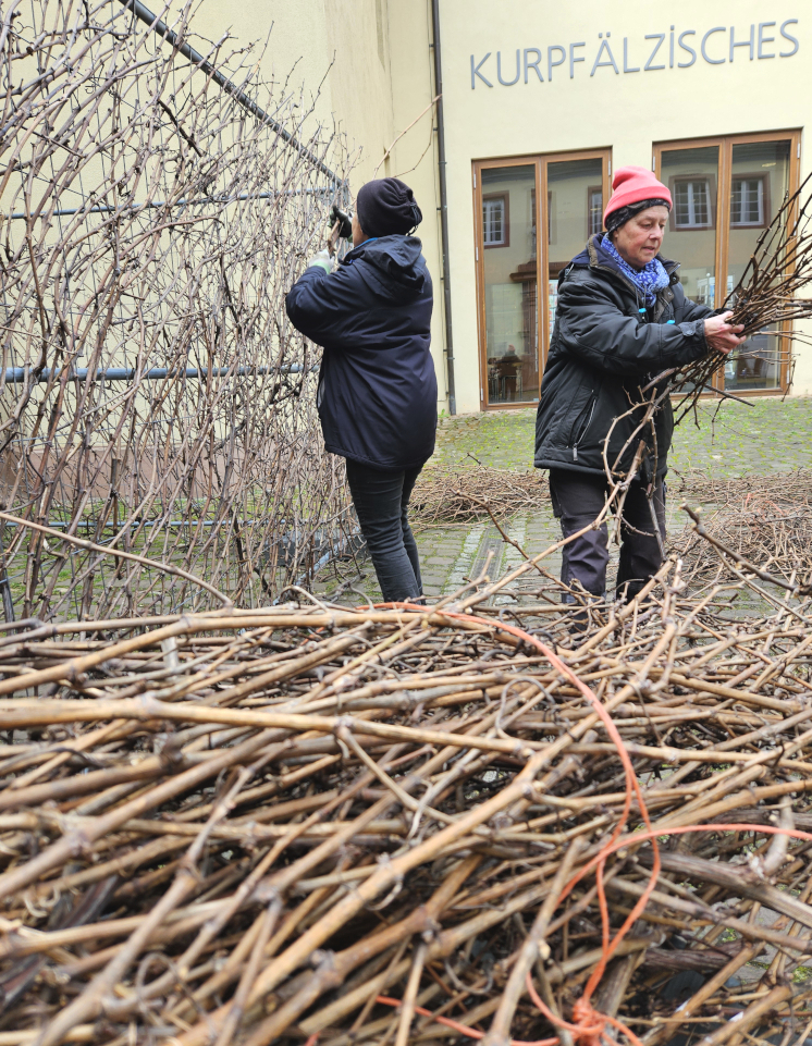 Die LandArt Installation entsteht im Hof des Kurpf&auml;lzischen Museums