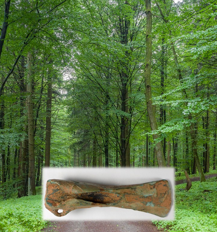 Beilklinge aus der Bronzezeit; Abb. KMH und Wikicommons