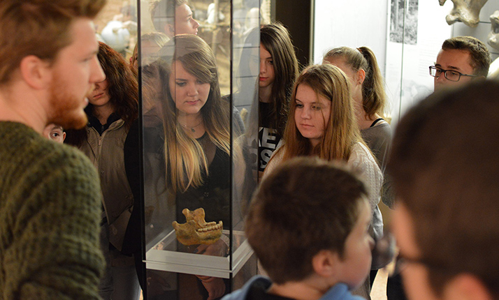 Schülergruppe im Museum (Foto: KMH)
