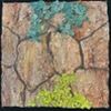Isabelle Wiessler_Tree Bank 1_photo the artist